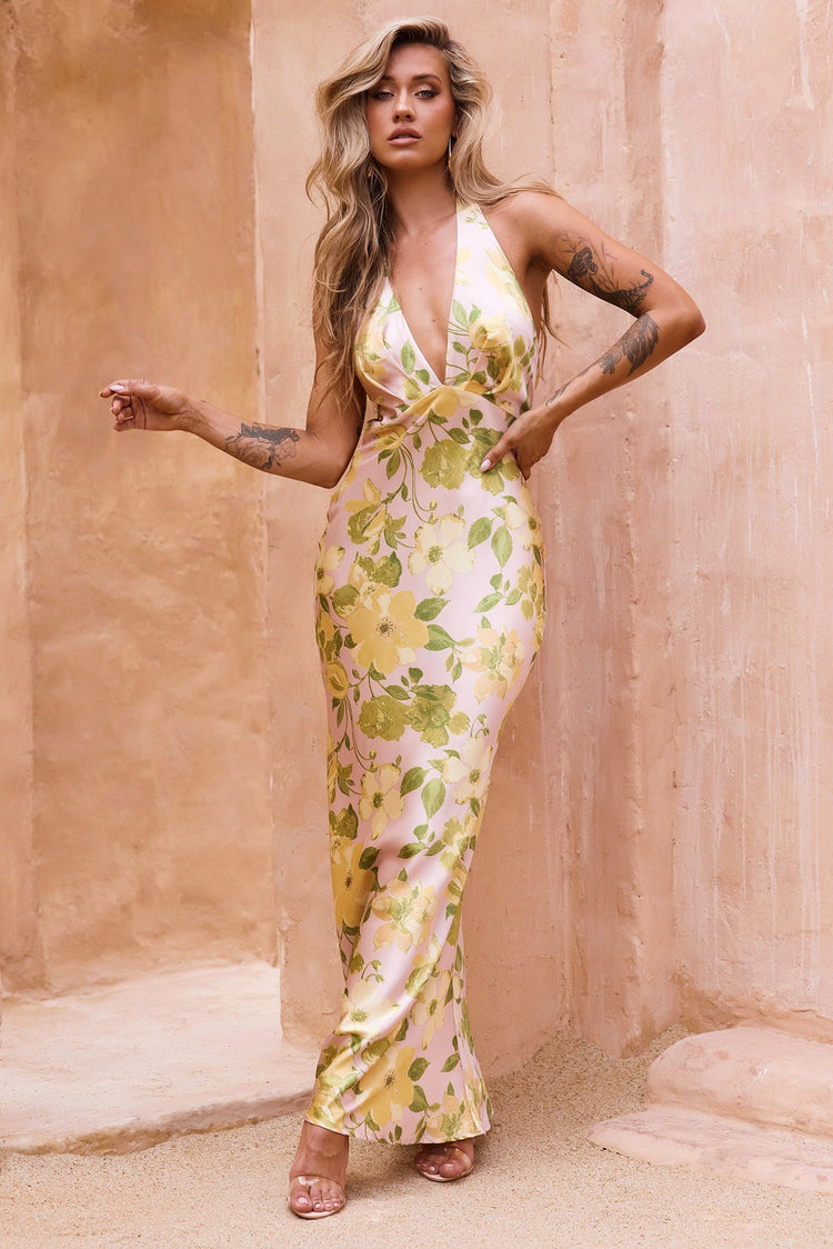 Burst Of Bliss Maxi Dress - Multi DRESSES Sage and Paije