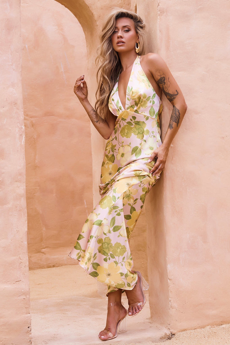 Burst Of Bliss Maxi Dress - Multi DRESSES Sage and Paije