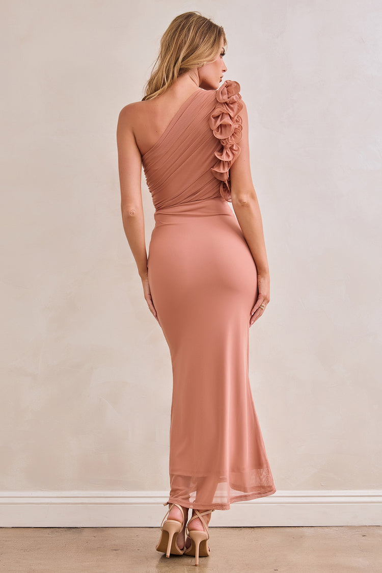 Golden Feelings Mesh Maxi Dress - Blush for women