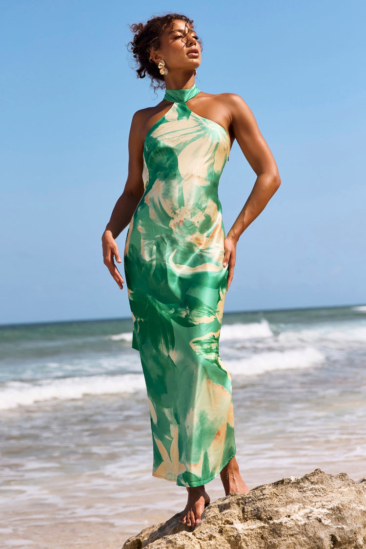On The Dance Floor Maxi Dress - Green Multi for women