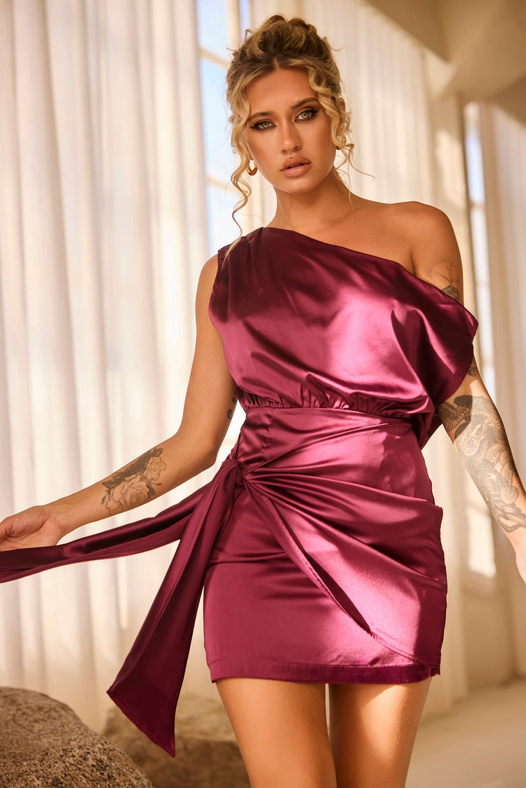 Still Lovers Mini Dress - Plum for women