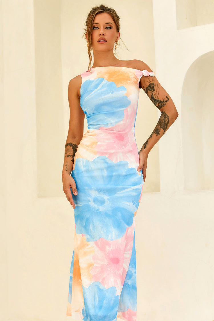 The Front Row Mesh Maxi Dress - Blue Multi for women