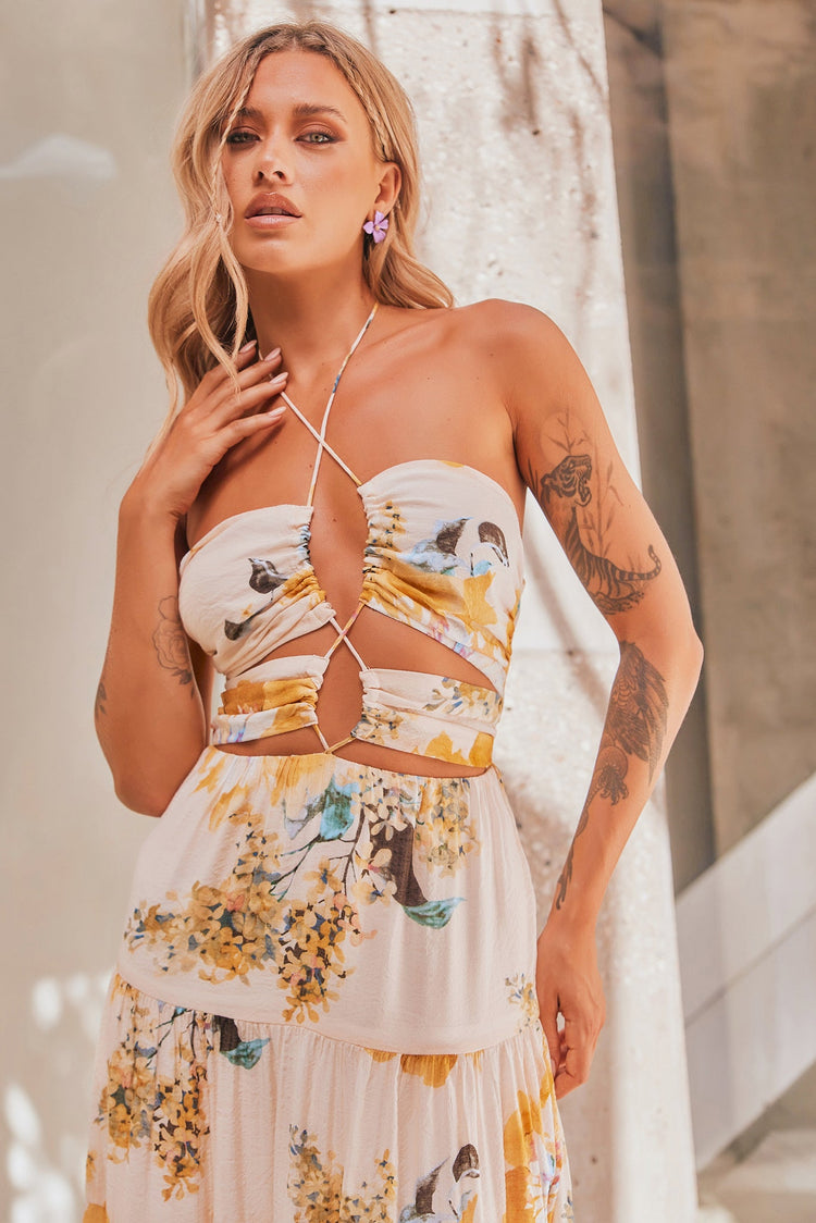 Like A Dream Maxi Dress - Beige DRESSES Sage and Paije